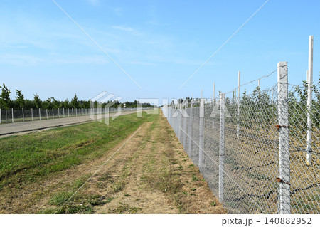 Young apple orchard Young apple orchard 140882952