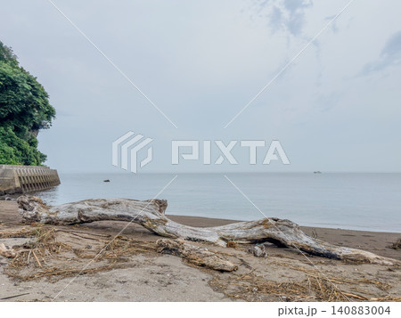 海岸に打ち上げられた大きな流木と静かな海辺の風景 海岸に打ち上げられた大きな流木と静かな海辺の風景 140883004
