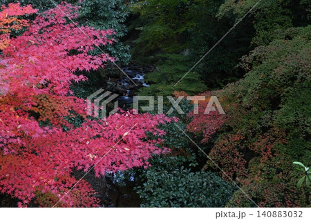紅葉と川 紅葉と川 140883032