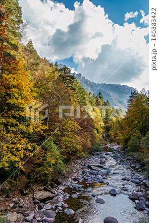 Driving through the Selva de Oza forest in Valley of Hecho, Aragonese Pyrenees, Huesca Province in Spain Driving through the Selva de Oza forest in Valley of Hecho, Aragonese Pyrenees, Huesca Province in Spain 140883422