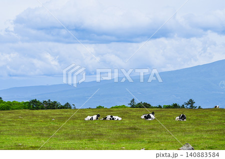 長野県美ヶ原高原の風景 長野県美ヶ原高原の風景 140883584