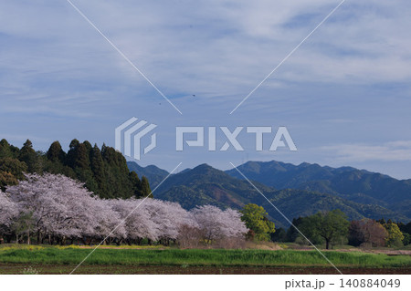 桜の風景 桜の風景 140884049