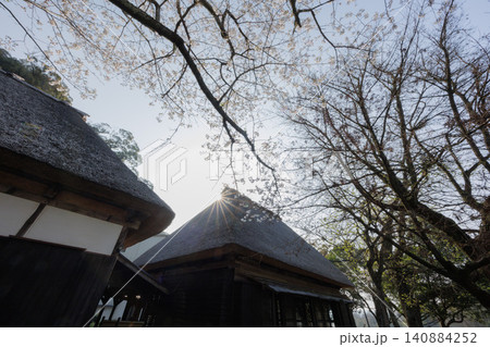 桜の風景 桜の風景 140884252