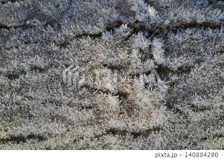 Hoarfrost on tree trunk surface Hoarfrost on tree trunk surface 140884280