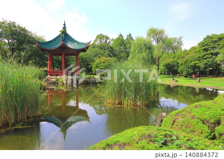 初夏の武漢の森の池(平和市民公園・大分市) 初夏の武漢の森の池(平和市民公園・大分市) 140884372
