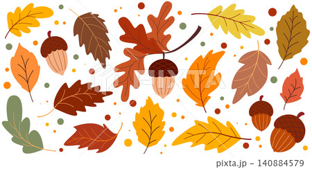 Set of colorful autumn acorns and leaves Set of colorful autumn acorns and leaves 140884579