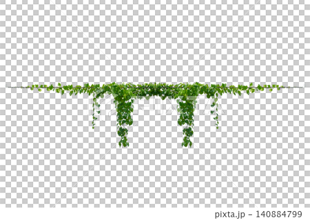 vine frame leaf vine circle Isolate on transparent background PNG file 140884799