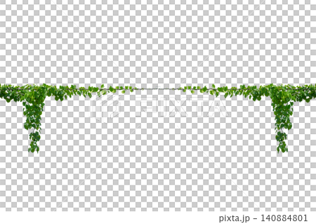 vine frame leaf vine circle Isolate on transparent background PNG file 140884801