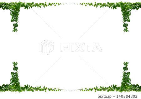 vine frame leaf vine circle Isolate on transparent background PNG file vine frame leaf vine circle Isolate on transparent background PNG file 140884802