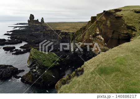 Seabirds nesting on Londrangar cliffs in Iceland Seabirds nesting on Londrangar cliffs in Iceland 140886217