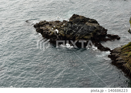 Seabirds on a volcanic rock island near Londrangar, Iceland 140886223