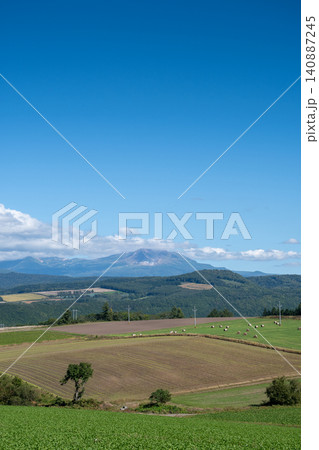 夏の晴れた日の畑作地帯と山頂 大雪山 夏の晴れた日の畑作地帯と山頂 大雪山 140887245