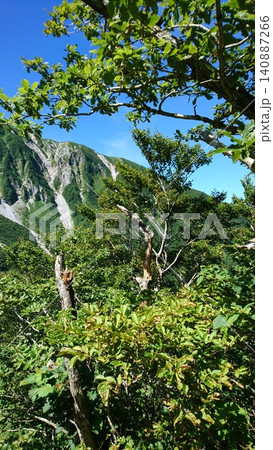 ユートピアコース登山道からの大山北壁 ユートピアコース登山道からの大山北壁 140887266