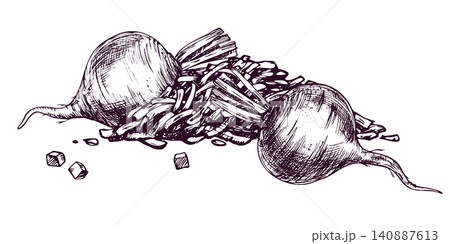 Beetroot and shredded beet illustration drawn with ink and pen in vintage engraving style. Artistic vegetable sketch for culinary design, cookbook, restaurant menu and organic food art. 140887613