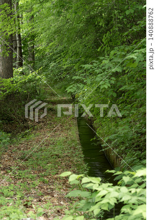 6月の新緑に包まれる南相木村・立岩湖の遊歩道と美しい水路の風景 6月の新緑に包まれる南相木村・立岩湖の遊歩道と美しい水路の風景 140888762