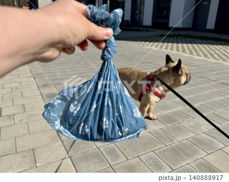 Bags for pet excrement on the background of a French bulldog dog. High quality photos Bags for pet excrement on the background of a French bulldog dog. High quality photos 140888917