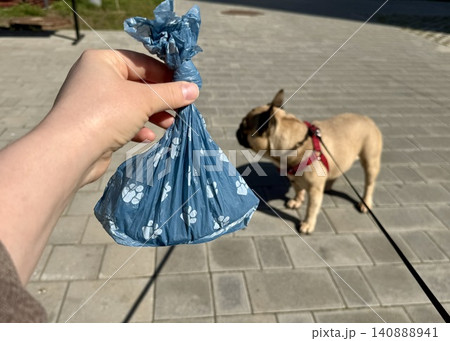 Bags for pet excrement on the background of a French bulldog dog. High quality photos Bags for pet excrement on the background of a French bulldog dog. High quality photos 140888941