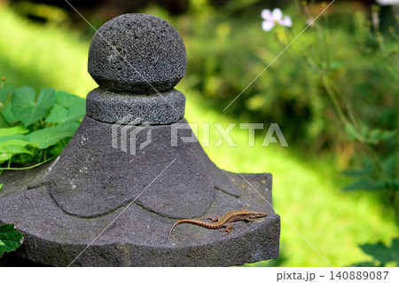 Small lizard on stone garden ornament 140889087