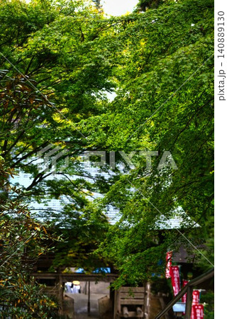 【太龍寺 】の境内 【太龍寺 】の境内 140889130