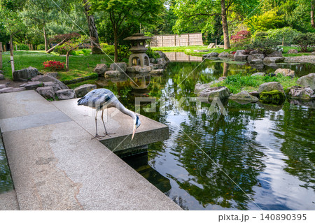 Grey heron seek small fisk who it can catch Grey heron seek small fisk who it can catch 140890395