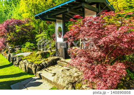 japanese garden on Chelsea Flower Show 2026 with Japanese maple of red color (and Japanese rock garden) in London japanese garden on Chelsea Flower Show 2026 with Japanese maple of red color (and Japanese rock garden) in London 140890808