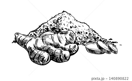 Hand drawn ink illustration of ginger root with slices and ginger powder. Sketch of spice and aromatic herbal ingredient for cooking. Vintage style engraving for cookbook design. Hand drawn ink illustration of ginger root with slices and ginger powder. Sketch of spice and aromatic herbal ingredient for cooking. Vintage style engraving for cookbook design. 140890822
