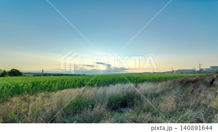 Beautiful sunrise in field and blue sky with clouds timelapse Beautiful sunrise in field and blue sky with clouds timelapse 140891644