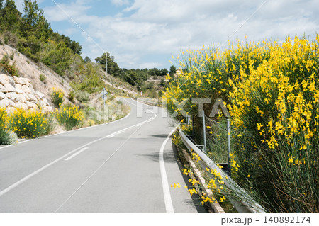 Serene roadway bordered by blooming yellow flowers on a sunny day Serene roadway bordered by blooming yellow flowers on a sunny day 140892174