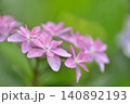 紫陽花 140892193