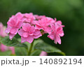 紫陽花 140892194