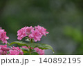 紫陽花 140892195