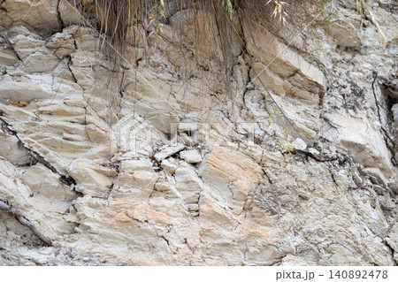 Textured rocky cliff face with sparse vegetation and natural crevices Textured rocky cliff face with sparse vegetation and natural crevices 140892478