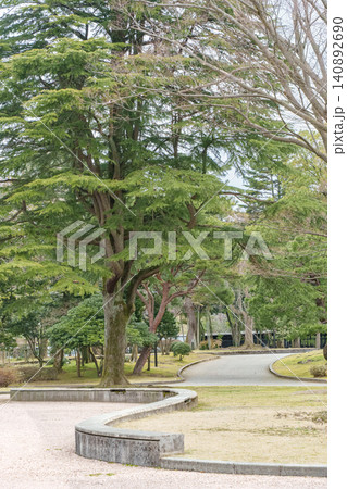 新緑が美しい春の公園 新緑が美しい春の公園 140892690