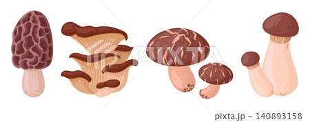 Wild mushroom collection. Different edible forest mushrooms isolated on white background flat vector illustration set. Botanical food elements Wild mushroom collection. Different edible forest mushrooms isolated on white background flat vector illustration set. Botanical food elements 140893158
