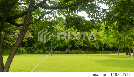北総花の丘公園の芝生広場と木々が織りなす緑豊かな初夏の風景 140893511