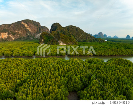 Amazing abundant mangrove forest, Aerial view of forest trees Rainforest ecosystem and healthy environment background, Texture of green trees forest top down, High angle view Amazing abundant mangrove forest, Aerial view of forest trees Rainforest ecosystem and healthy environment background, Texture of green trees forest top down, High angle view 140894019