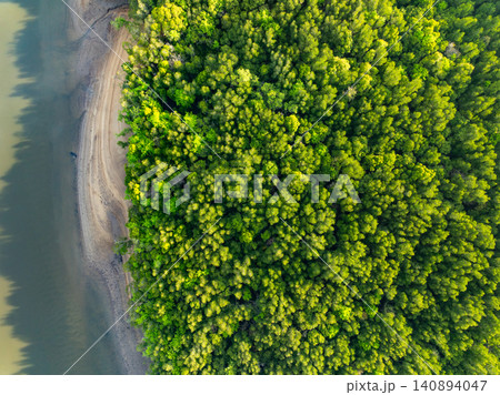 Amazing abundant mangrove forest, Aerial view of forest trees Rainforest ecosystem and healthy environment background, Texture of green trees forest top down, High angle view Amazing abundant mangrove forest, Aerial view of forest trees Rainforest ecosystem and healthy environment background, Texture of green trees forest top down, High angle view 140894047