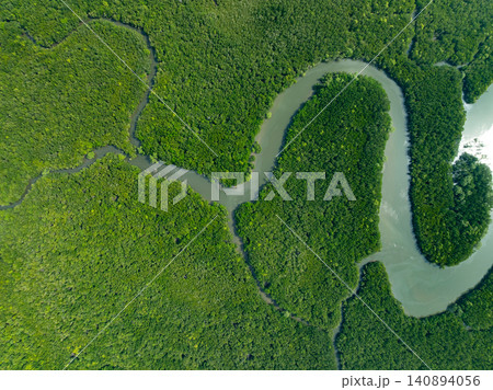Amazing abundant mangrove forest, Aerial view of forest trees Rainforest ecosystem and healthy environment background, Texture of green trees forest top down, High angle view Amazing abundant mangrove forest, Aerial view of forest trees Rainforest ecosystem and healthy environment background, Texture of green trees forest top down, High angle view 140894056