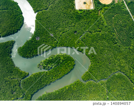 Amazing abundant mangrove forest, Aerial view of forest trees Rainforest ecosystem and healthy environment background, Texture of green trees forest top down, High angle view 140894057