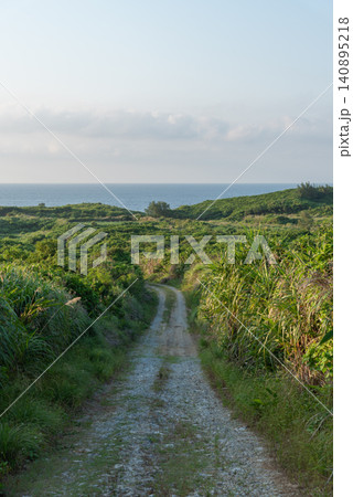 水平線の海が見える草の伸びた広い平原の中の轍のある未舗装の道 水平線の海が見える草の伸びた広い平原の中の轍のある未舗装の道 140895218