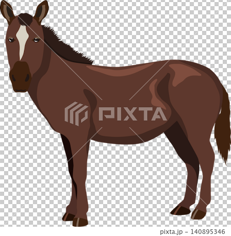 Horse facing left 140895346