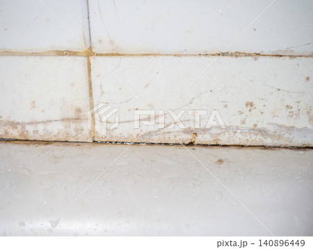Dirty tiles in the bathroom. Black dots on bathroom enamel. Mold in the bathroom. Need a cleaning product. Cleaning product concept Dirty tiles in the bathroom. Black dots on bathroom enamel. Mold in the bathroom. Need a cleaning product. Cleaning product concept 140896449