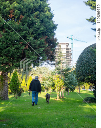 A man walks a large dog in the park. Back view. Retreating figures of a man and a dog. Vacation with a pet at the resort. A man walks a large dog in the park. Back view. Retreating figures of a man and a dog. Vacation with a pet at the resort. 140896459