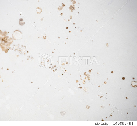 Mold on bathroom enamel. Mold spores in the bathroom. Black dots on a white background. A problem for everyday life. The need for a cleaning agent 140896491