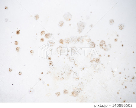Mold on the enamel in the bathroom. Mold spores in the bathroom. Black dots on a white background. The problem of everyday life. The need for a cleaning product. 140896502