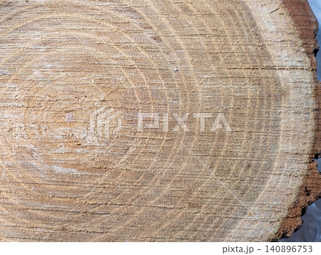 Fresh cut of a tree. Annual rings on wood. A round piece of wood. Fresh cut of a tree. Annual rings on wood. A round piece of wood. 140896753