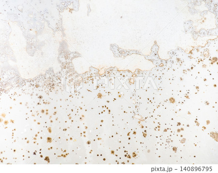 Mold on the surface of the bathroom. Dark mold close-up on bathroom enamel. Dirty white surface. The concept of the appearance of bacteria. Mold on the surface of the bathroom. Dark mold close-up on bathroom enamel. Dirty white surface. The concept of the appearance of bacteria. 140896795