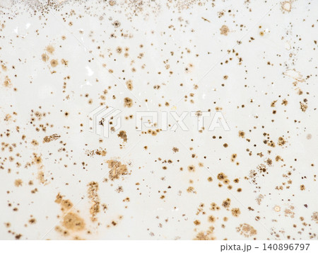 Mold on the surface of the bath. Dark mold close-up on bath enamel. Dirty white surface. The concept of the appearance of bacteria. Mold on the surface of the bath. Dark mold close-up on bath enamel. Dirty white surface. The concept of the appearance of bacteria. 140896797