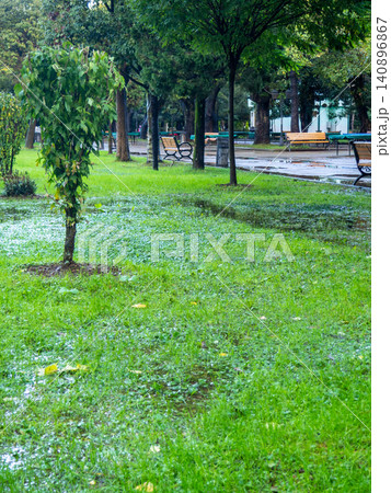 Park after the rain. Park lawn in puddles. After bad weather. Autumn in the park. Park after the rain. Park lawn in puddles. After bad weather. Autumn in the park. 140896867