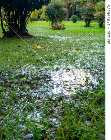 Park after the rain. Park lawn in puddles. After bad weather. Autumn in the park. Park after the rain. Park lawn in puddles. After bad weather. Autumn in the park. 140896875